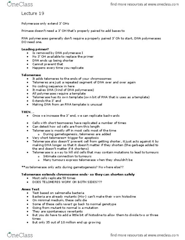 Biology 1002B Lecture Notes - Lecture 19: Transversion, Rodent, Ames Test thumbnail