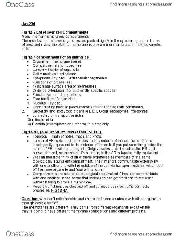 BIOL 2021 Lecture Notes - Lecture 6: Protein Targeting, Signal Peptidase, Cell Membrane thumbnail