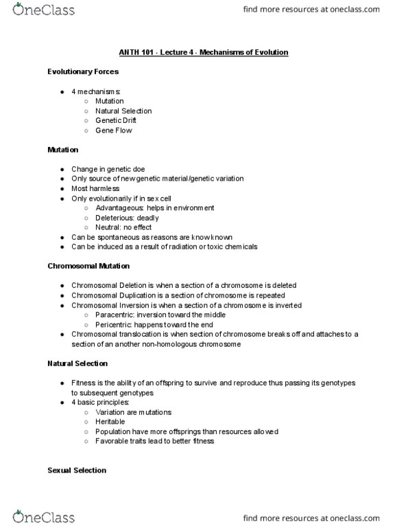 ANTH 101 Lecture Notes - Lecture 4: Chromosomal Translocation, Gene Duplication, Chromosome thumbnail