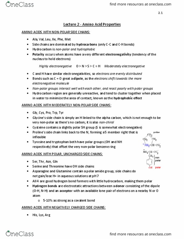 BIOC 2580 Lecture Notes - Lecture 2: Hydrogen Bond, Covalent Bond, Alpha And Beta Carbon thumbnail
