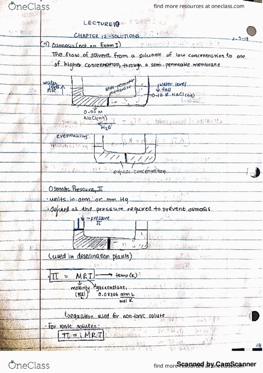 CHEM 1032 Lecture Notes - Lecture 10: Horse Length thumbnail