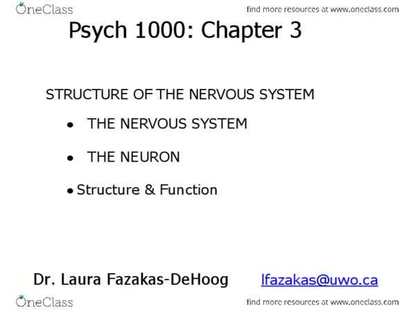 Psychology 1000 Chapter 3: Sept 20th - Chapter 3 Nervous System.docx thumbnail
