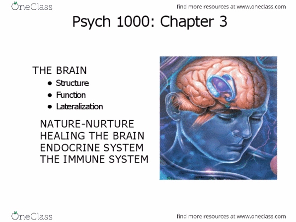 Psychology 1000 Chapter 3: Sept 27th - Chapter 3 The Brain.docx thumbnail