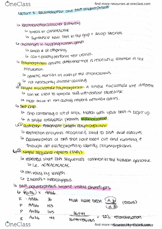 BIOL 2301 Lecture Notes - Lecture 8: Turtle Island Quartet, Electronvolt thumbnail