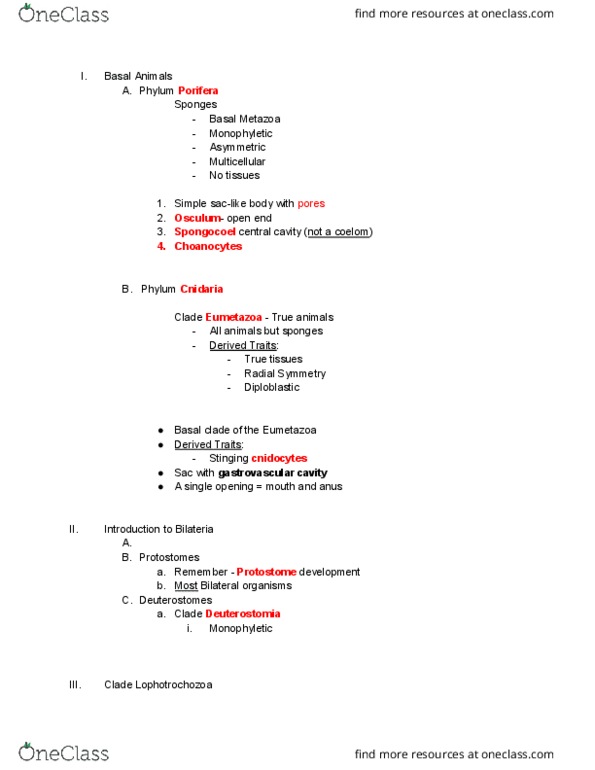 01:119:116 Lecture Notes - Lecture 6: Gastrovascular Cavity, Eumetazoa, Deuterostome thumbnail
