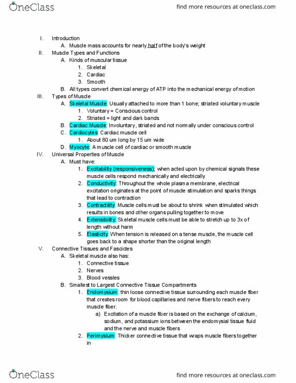 ANAT 201 Chapter Notes - Chapter 10: Orbicularis Oculi Muscle, Loose Connective Tissue, Cardiac Muscle thumbnail