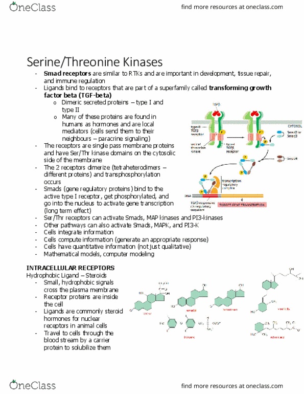 BIOL 2021 Chapter Notes - Chapter 15.1: Transforming Growth Factor Beta, Nuclear Receptor, Paracrine Signalling thumbnail