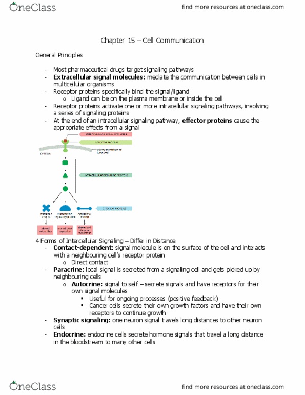 BIOL 2021 Chapter Notes - Chapter 15.11: Cell Membrane, Membrane Transport Protein, Autocrine Signalling thumbnail