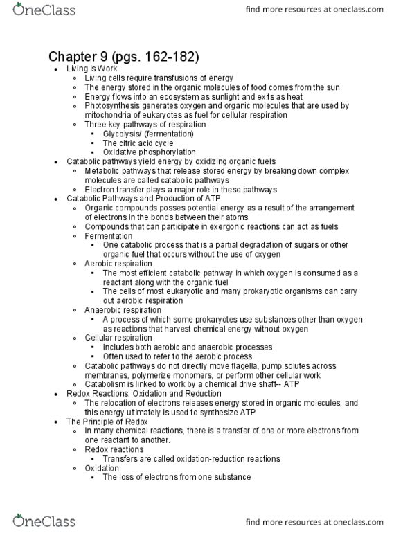 BIO SCI 93 Lecture Notes - Lecture 9: Cellular Respiration, Biofuel, Oxidizing Agent thumbnail