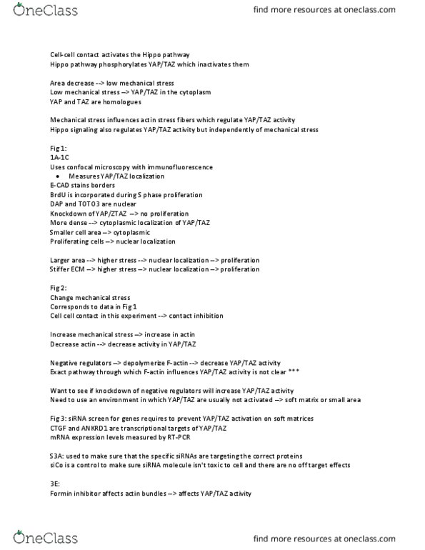 MCD BIO 165A Lecture Notes - Lecture 3: Confocal Microscopy, Ctgf, Small Interfering Rna thumbnail