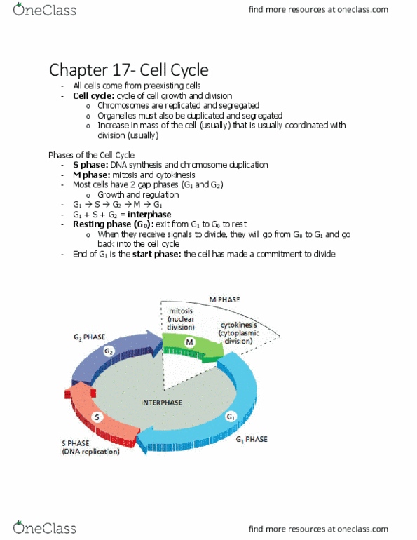 BIOL 2021 Chapter 17.9: Chapter 17- cell cycle thumbnail