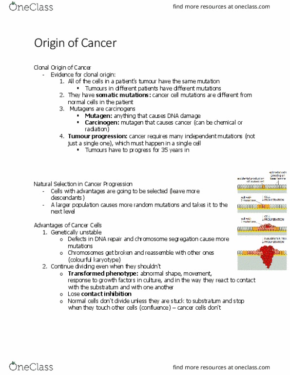 BIOL 2021 Chapter 20.8: Origin of Cancer thumbnail