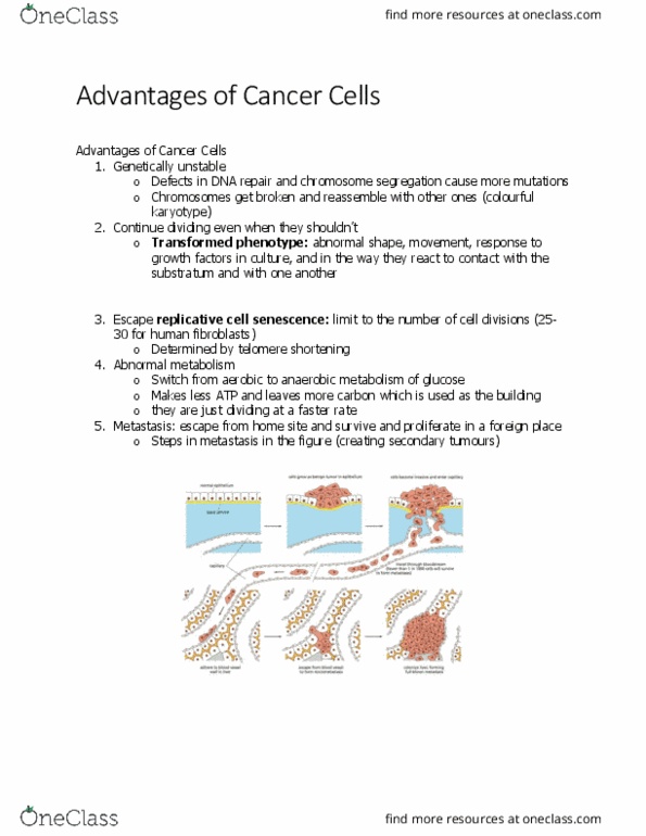 BIOL 2021 Chapter Notes - Chapter 20.7: Oncogene, Chromosome Segregation, Metastasis thumbnail