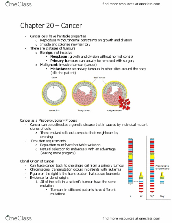 BIOL 2021 Chapter Notes - Chapter 20.9: Mutagen, Carcinogen, Neoplasm thumbnail