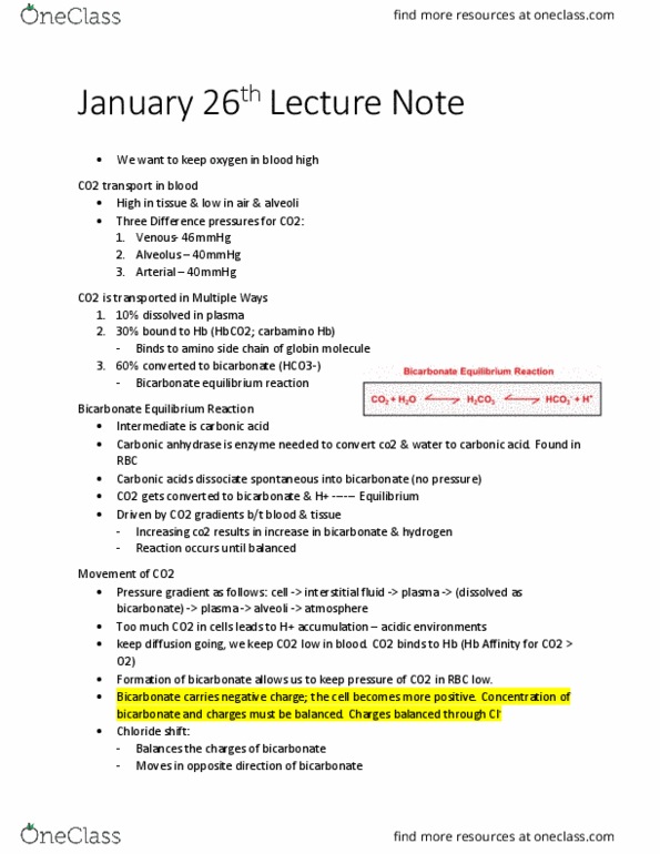 KINE 3012 Lecture Notes - Lecture 1: Carbonic Anhydrase, Carbamino, Pressure Gradient thumbnail