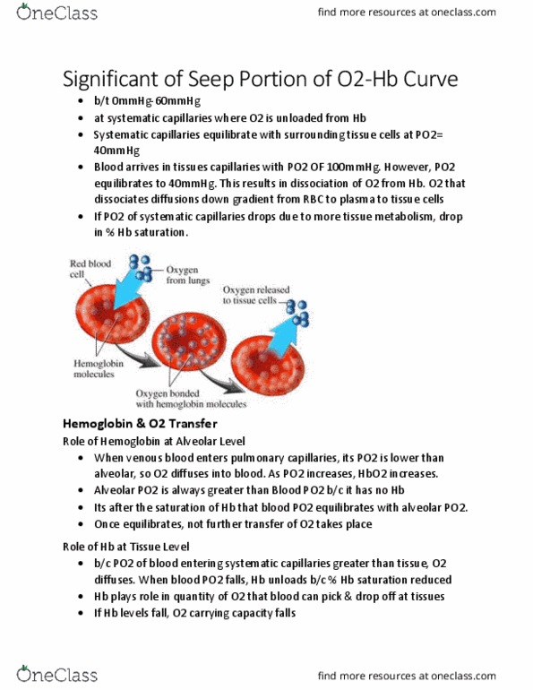 KINE 3012 Lecture Notes - Lecture 13: Bohr Effect, Hemoglobin thumbnail