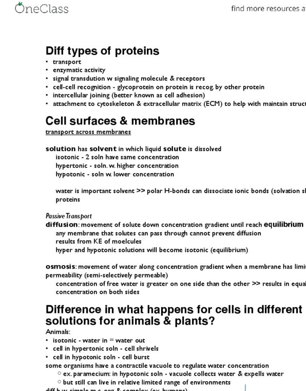 BISC 220Lg Lecture Notes - Facilitated Diffusion, Antiporter, Active Transport thumbnail