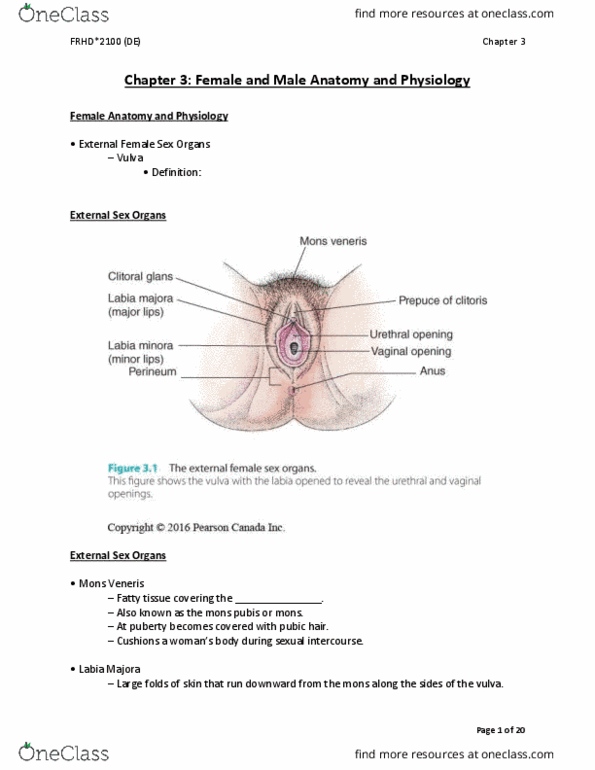 FRHD 2100 Chapter Notes - Chapter 3: Clitoris, Pubic Hair, Mons Pubis thumbnail