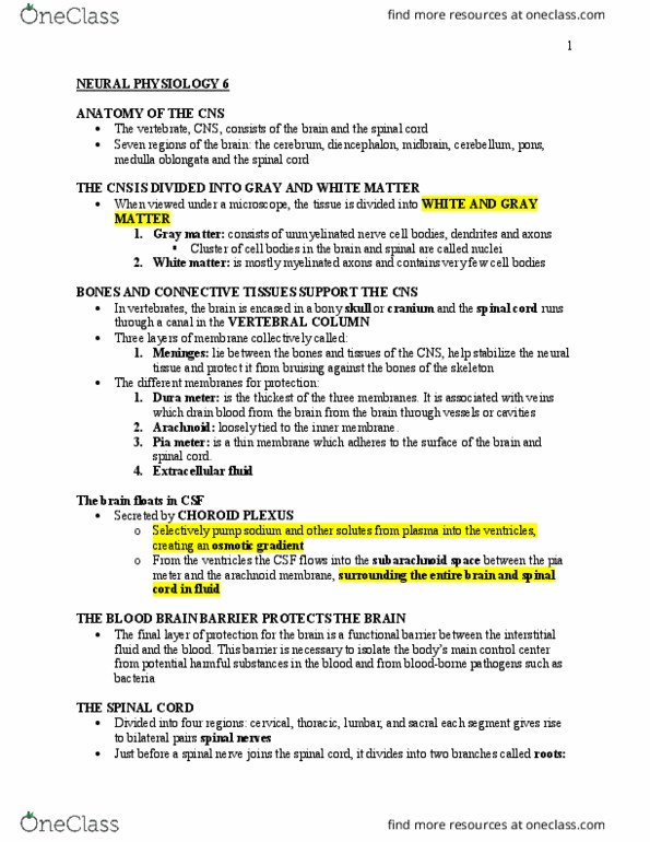 PHY100H1 Lecture Notes - Lecture 3: Dorsal Root Ganglion, Arachnoid Mater, Medulla Oblongata thumbnail