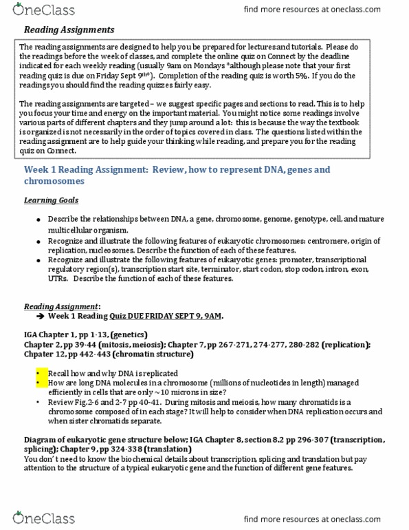 BIOL 200 Lecture Notes - Lecture 4: Sister Chromatids, Dna Replication, Start Codon thumbnail