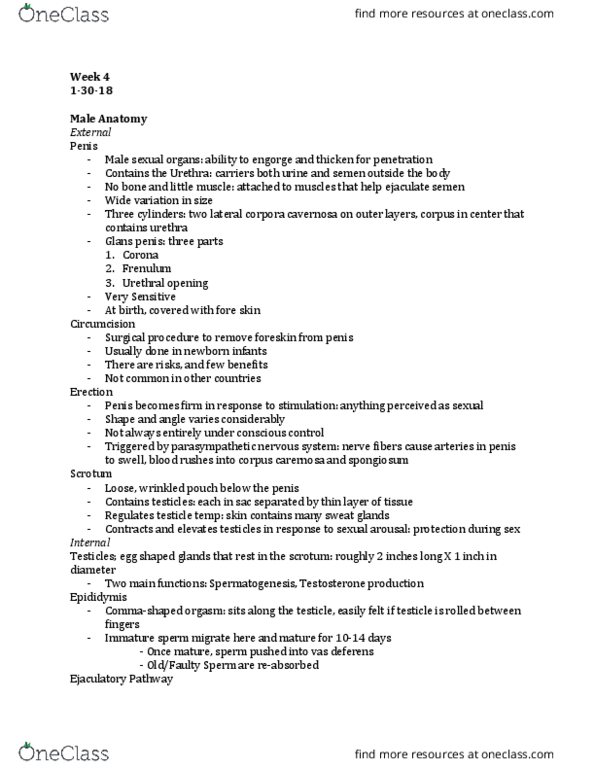 HDFS 240 Lecture Notes - Lecture 4: Vas Deferens, Ejaculatory Duct, Semen thumbnail