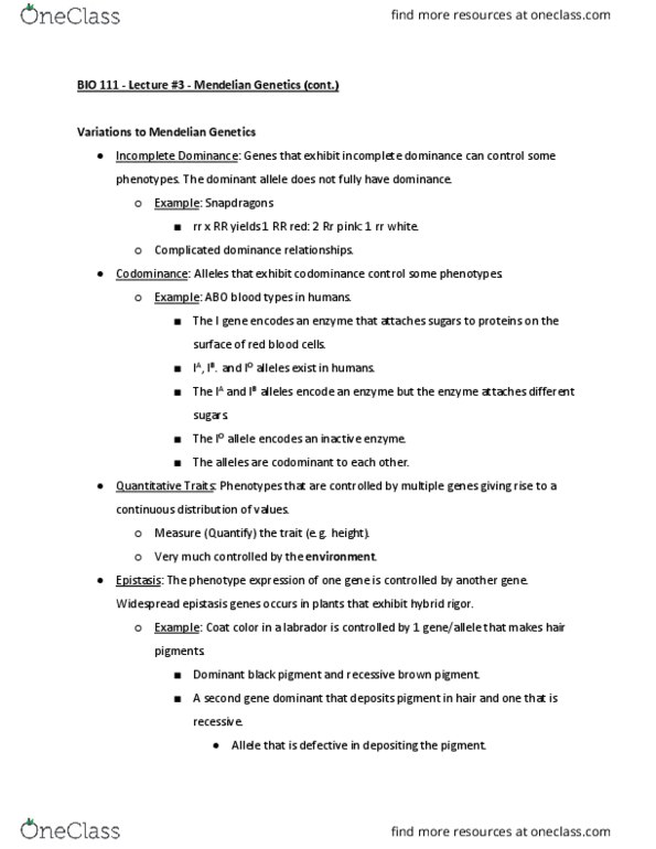 BIO 111 Lecture Notes - Lecture 3: Mendelian Inheritance, R.W.D. Molenbeek, Epistasis thumbnail