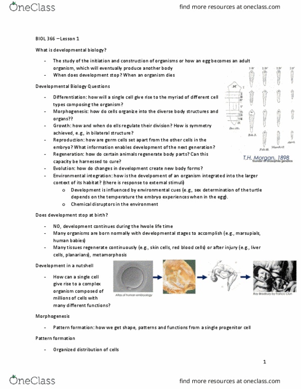 BIOL 366 Lecture Notes - Lecture 1: Progenitor Cell, Pattern Formation, Developmental Biology thumbnail