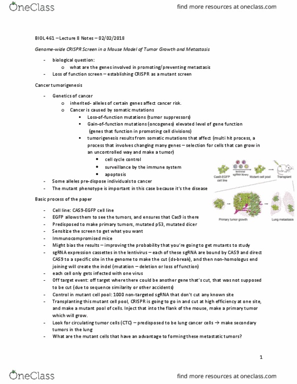 BIOL 461 Lecture Notes - Lecture 8: Cas9, Primary Tumor, Green Fluorescent Protein thumbnail