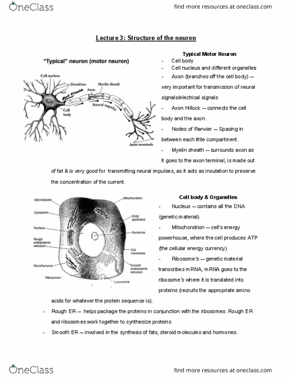 document preview image