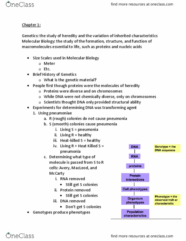 BIOL 2301 Lecture Notes - Lecture 1: Metabolic Pathway, Heredity thumbnail
