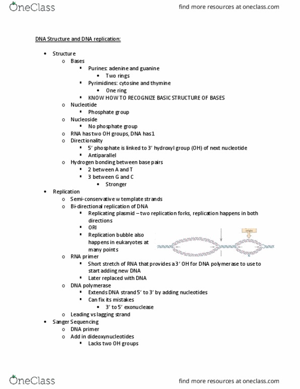 BIOL 2301 Lecture Notes - Lecture 5: Dna Replication, Sanger Sequencing, Dideoxynucleotide thumbnail