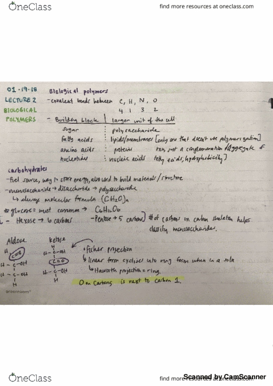 BIOLOGY 1A Lecture Notes - Lecture 2: Horse Length thumbnail