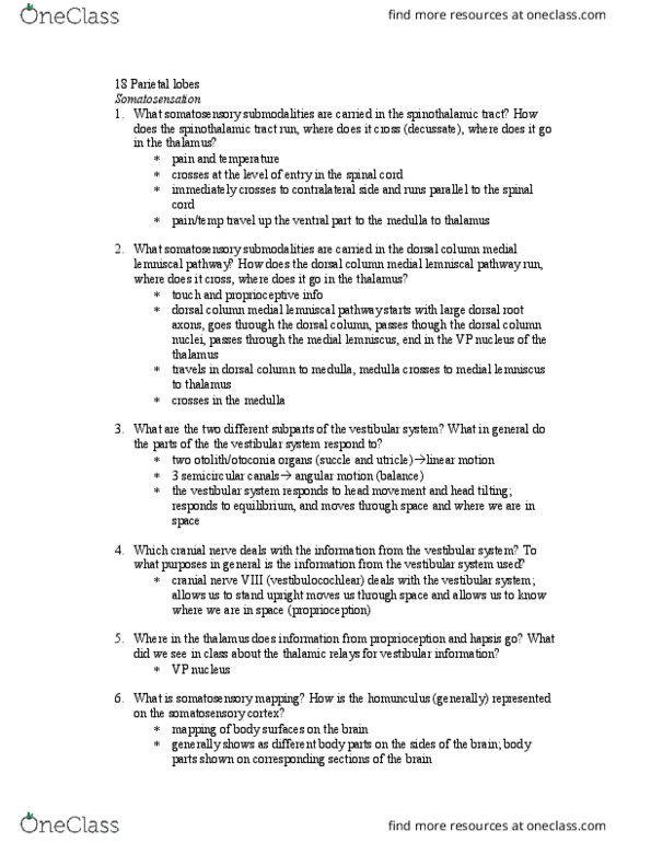 01:830:310 Lecture Notes - Lecture 18: Medial Lemniscus, Parietal Lobe, Vestibulocochlear Nerve thumbnail