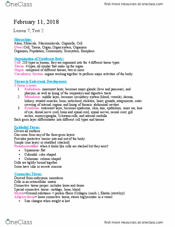 BIOL 1106 Lecture Notes - Lecture 7: Dorsal Nerve Cord, Connective Tissue, Loose Connective Tissue thumbnail