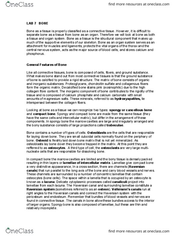 BIOL302 Lecture Notes - Lecture 7: Intramembranous Ossification, Haversian Canal, Dense Irregular Connective Tissue thumbnail