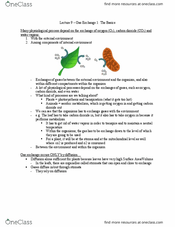 Biology 2601A/B Lecture Notes - Lecture 9: Gas Exchange, Rotifer, Cellular Respiration thumbnail