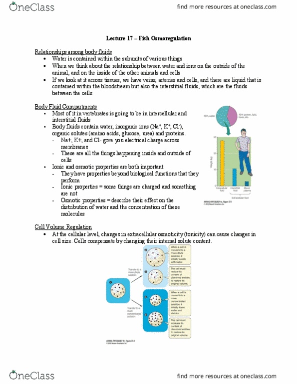 Biology 2601A/B Lecture Notes - Lecture 17: Semipermeable Membrane, Blood Plasma, Osmoregulation thumbnail