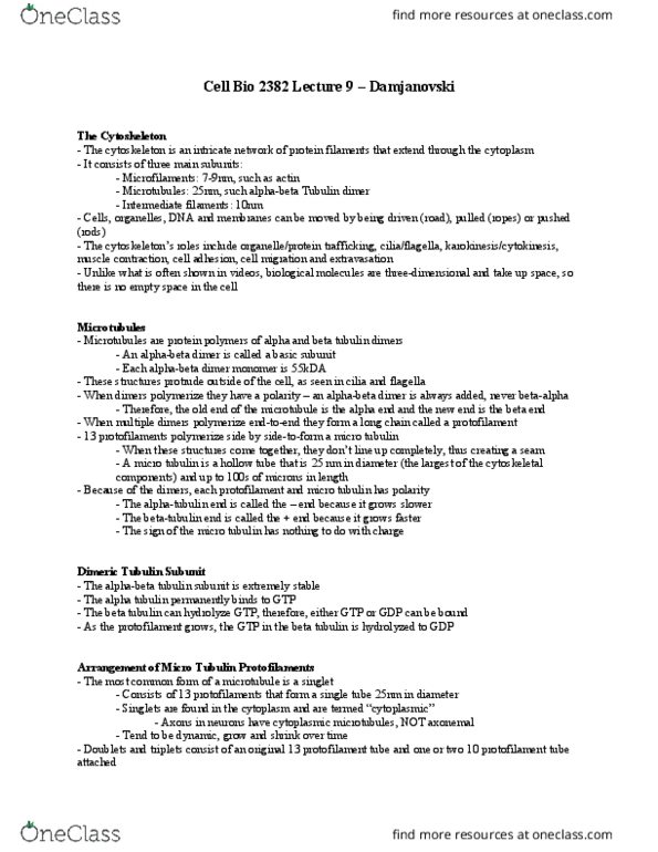 Biology 2382B Lecture Notes - Lecture 9: Tubulin, Cell Adhesion, Microtubule thumbnail