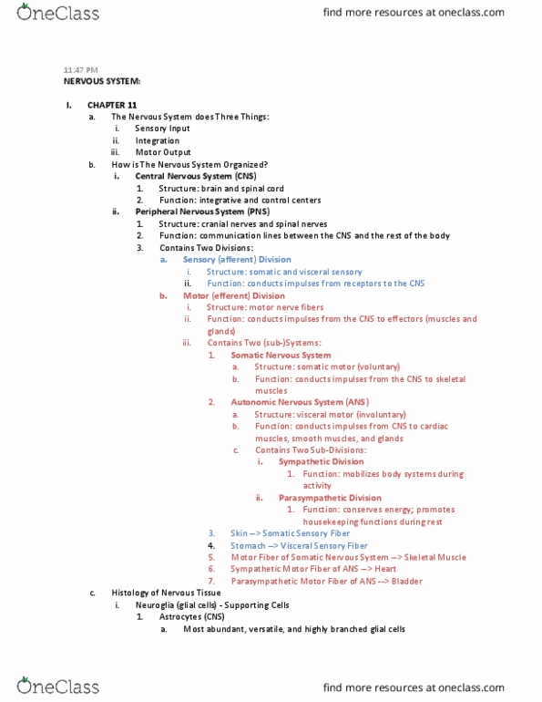 EXSC 224 Lecture Notes - Lecture 11: Autonomic Nervous System, Cranial Nerves, Action Potential thumbnail