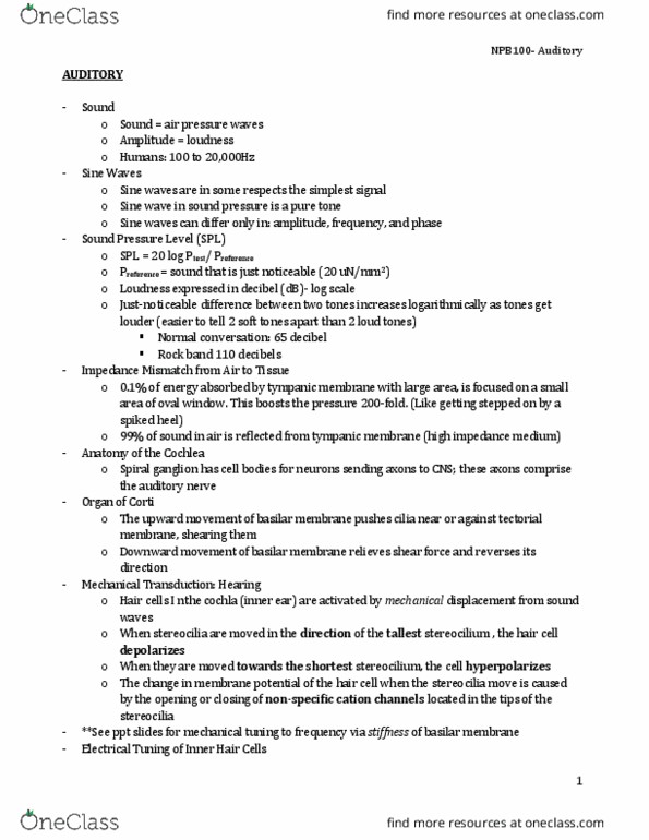 NPB 100 Lecture Notes - Lecture 14: Sine Wave, Basilar Membrane, Tectorial Membrane thumbnail