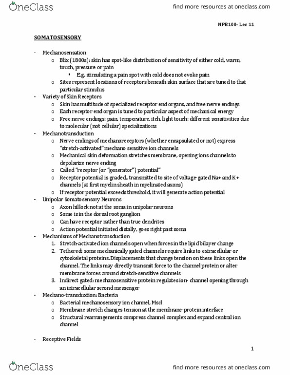 NPB 100 Lecture Notes - Lecture 11: Dorsal Root Ganglion, Mechanotransduction, Axon Hillock thumbnail