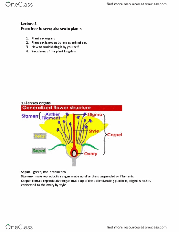 BIOA02H3 Lecture Notes - Lecture 8: Stamen, Gynoecium, Inbreeding Depression thumbnail