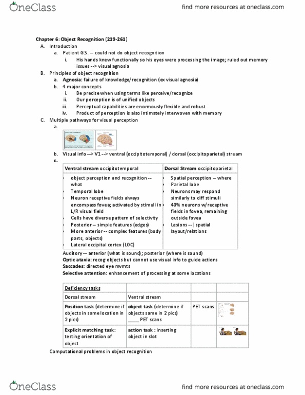 NBB 302 Chapter Notes - Chapter 3: Auditory Agnosia, Two-Streams Hypothesis, Parietal Lobe thumbnail