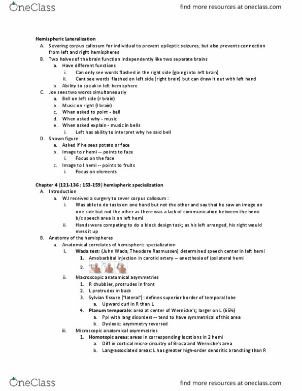 NBB 302 Chapter Notes - Chapter 2: Posterior Commissure, Anterior Commissure, Planum Temporale thumbnail