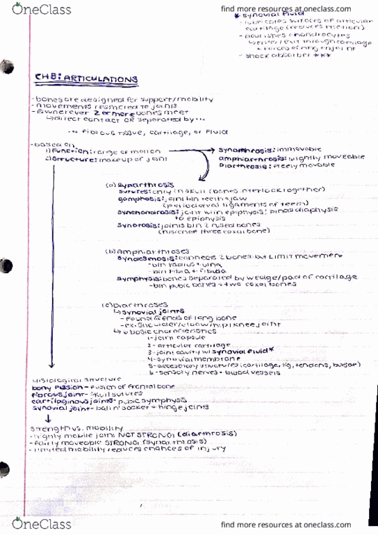 BIO 121 Chapter 8: Articulations thumbnail