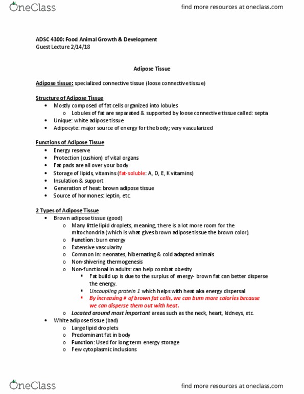 ADSC 4300 Lecture Notes - Lecture 9: White Adipose Tissue, Loose Connective Tissue, Caul Fat thumbnail