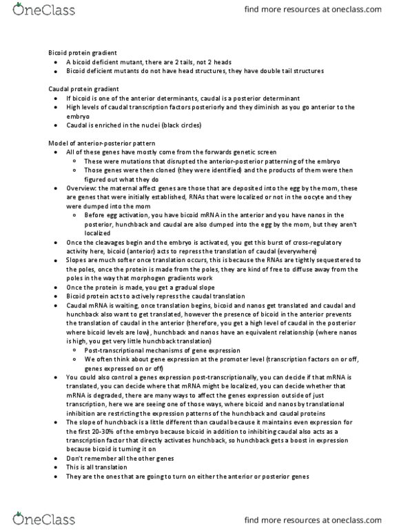 BIO380H5 Lecture Notes - Lecture 12: Maternal Effect, Morphogen, Genetic Screen thumbnail