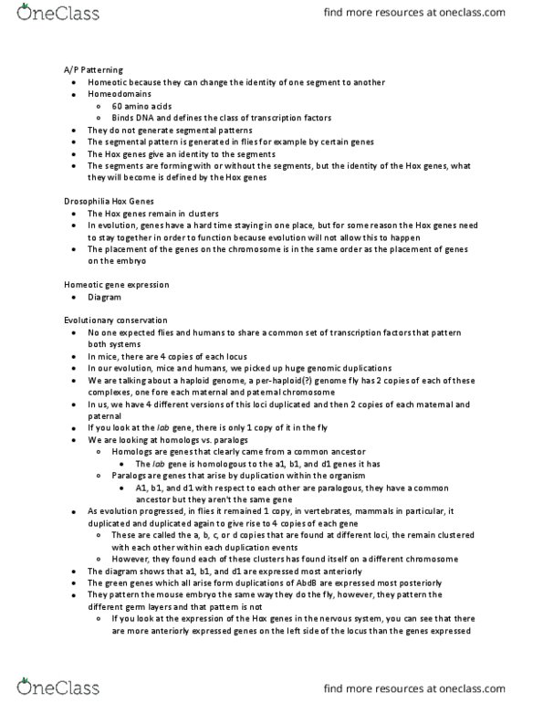 BIO380H5 Lecture Notes - Lecture 13: Homeotic Gene, Gene Duplication, Chromosome thumbnail