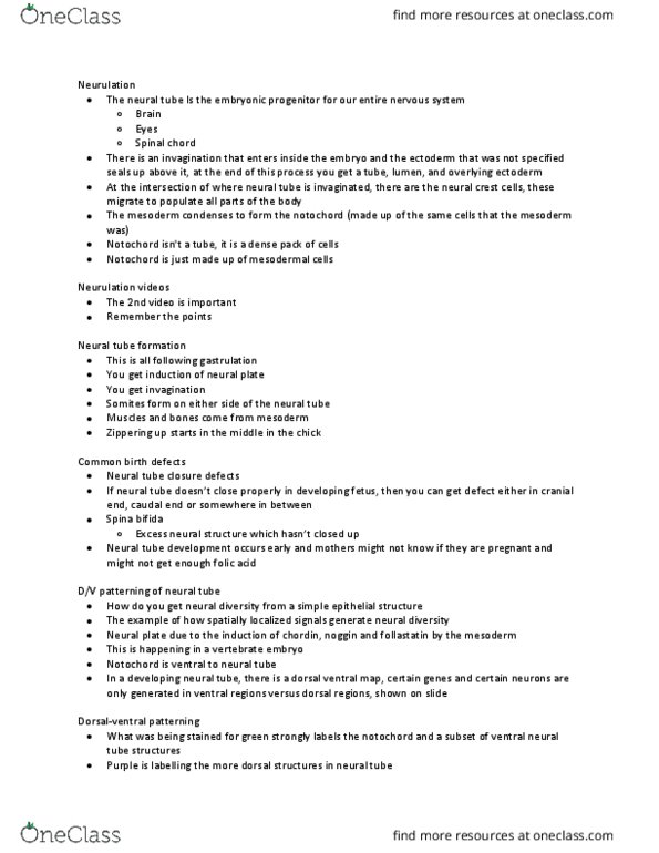 BIO380H5 Lecture Notes - Lecture 15: Spina Bifida, Neural Tube, Neurulation thumbnail