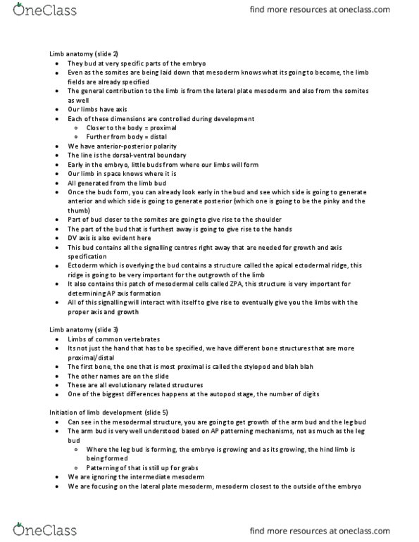 BIO380H5 Lecture Notes - Lecture 20: Lateral Plate Mesoderm, Apical Ectodermal Ridge, Limb Bud thumbnail